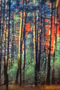 Autumn landscape